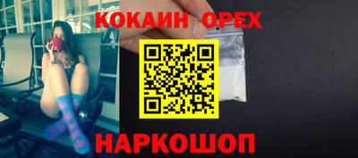 мдпв Кингисепп