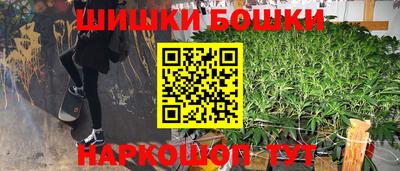мдпв Кингисепп