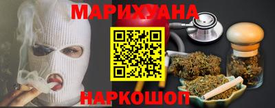 мдпв Кингисепп
