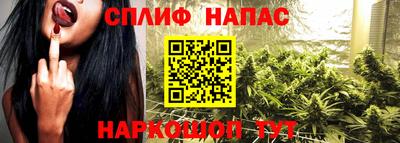стаф Кимры