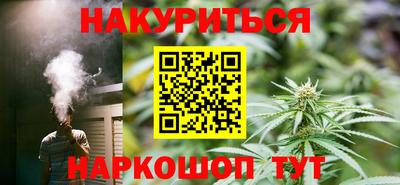 мдпв Кингисепп