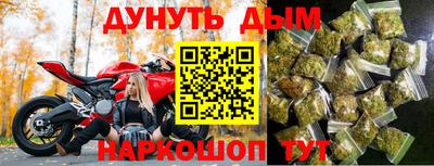 мдпв Кингисепп