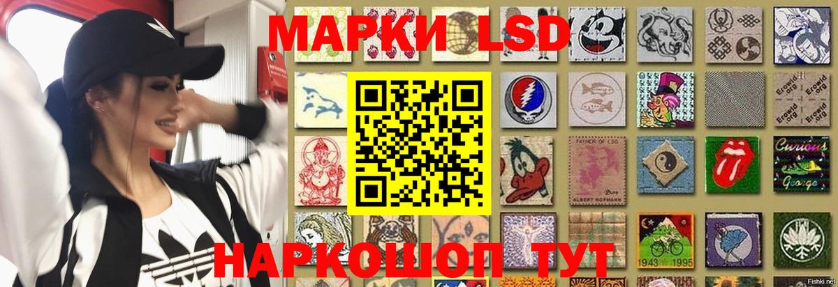Лсд 25 экстази ecstasy  Вход с VPN  Камышлов  LSD-25 экстази ecstasy 