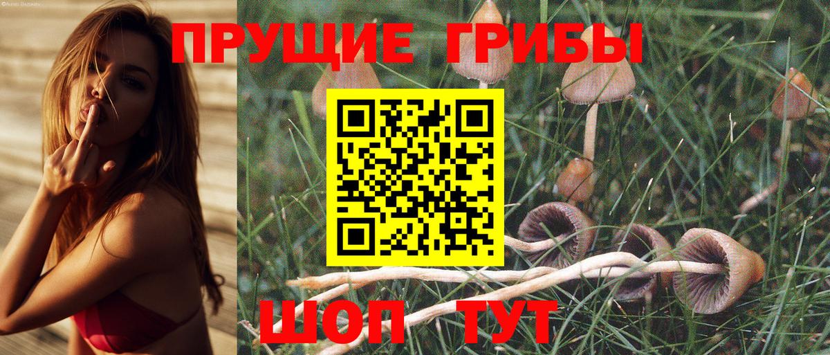 Камышлов  Галлюциногенные грибы Cubensis  Галлюциногенные грибы GOLDEN TEACHER  Вход с VPN 